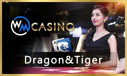 Jilibet Live Sic Bo